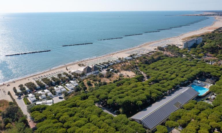 Spiaggia soleggiata, mare calmo, pini rigogliosi e relax estivo.