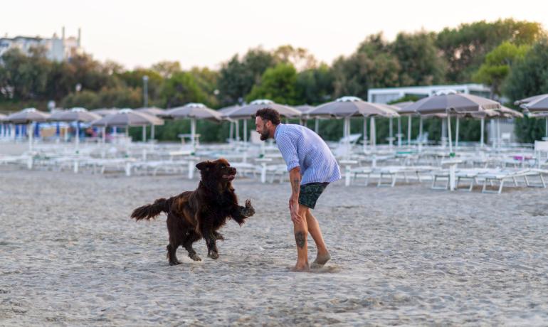 Uomo gioca felice con cane sulla spiaggia deserta al tramonto.