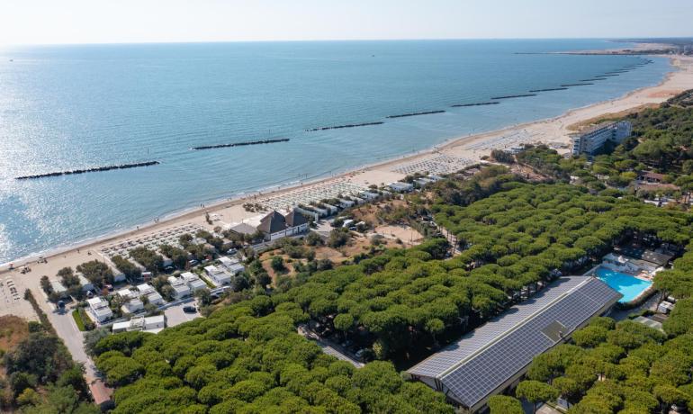 Sonniger Strand, ruhiges Meer, grüne Kiefern, totale Entspannung.