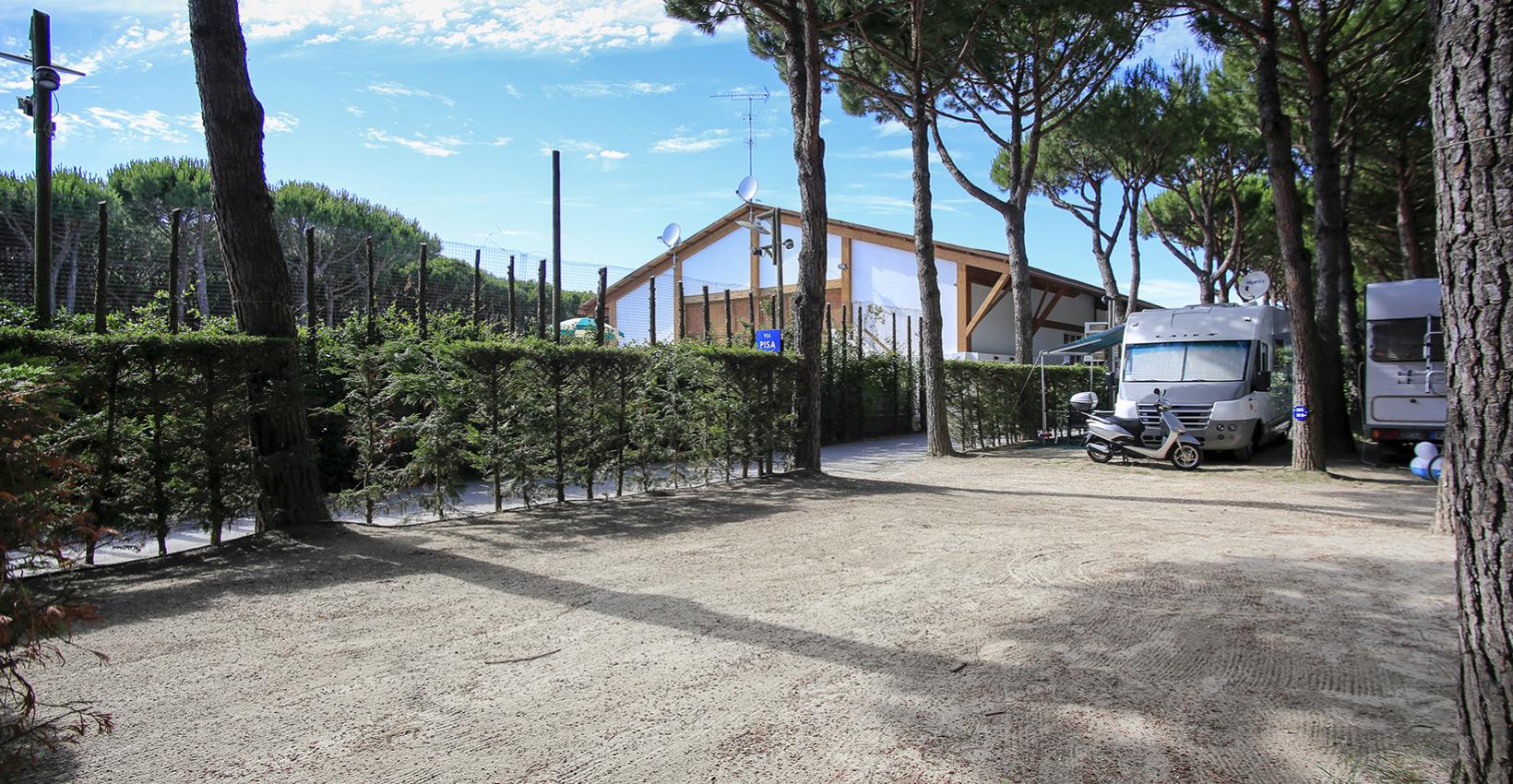 Area camping soleggiata con camper, scooter e pini, atmosfera rilassante e naturale.