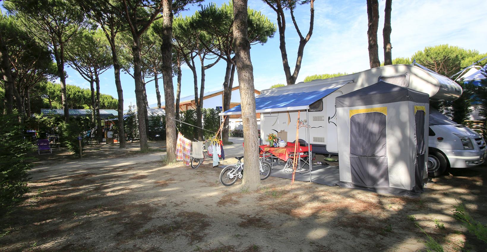 Camper tra pini, biciclette, sedie e sole. Atmosfera di relax e vacanza all'aperto.