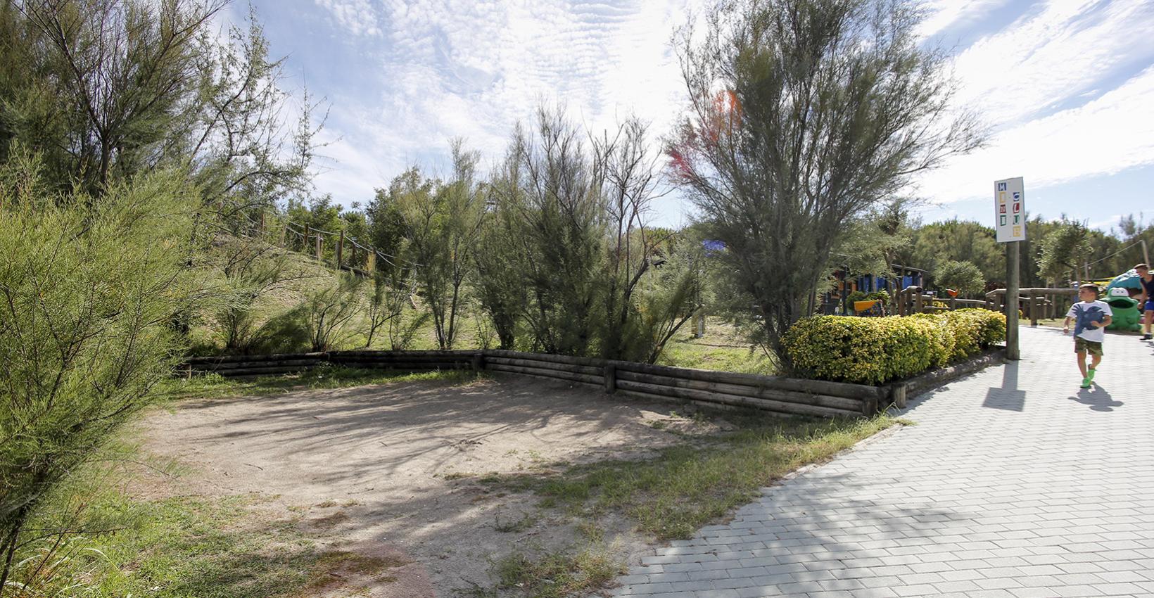 Sentiero soleggiato, alberi verdi, cielo limpido, bambini giocano, atmosfera serena e gioiosa.