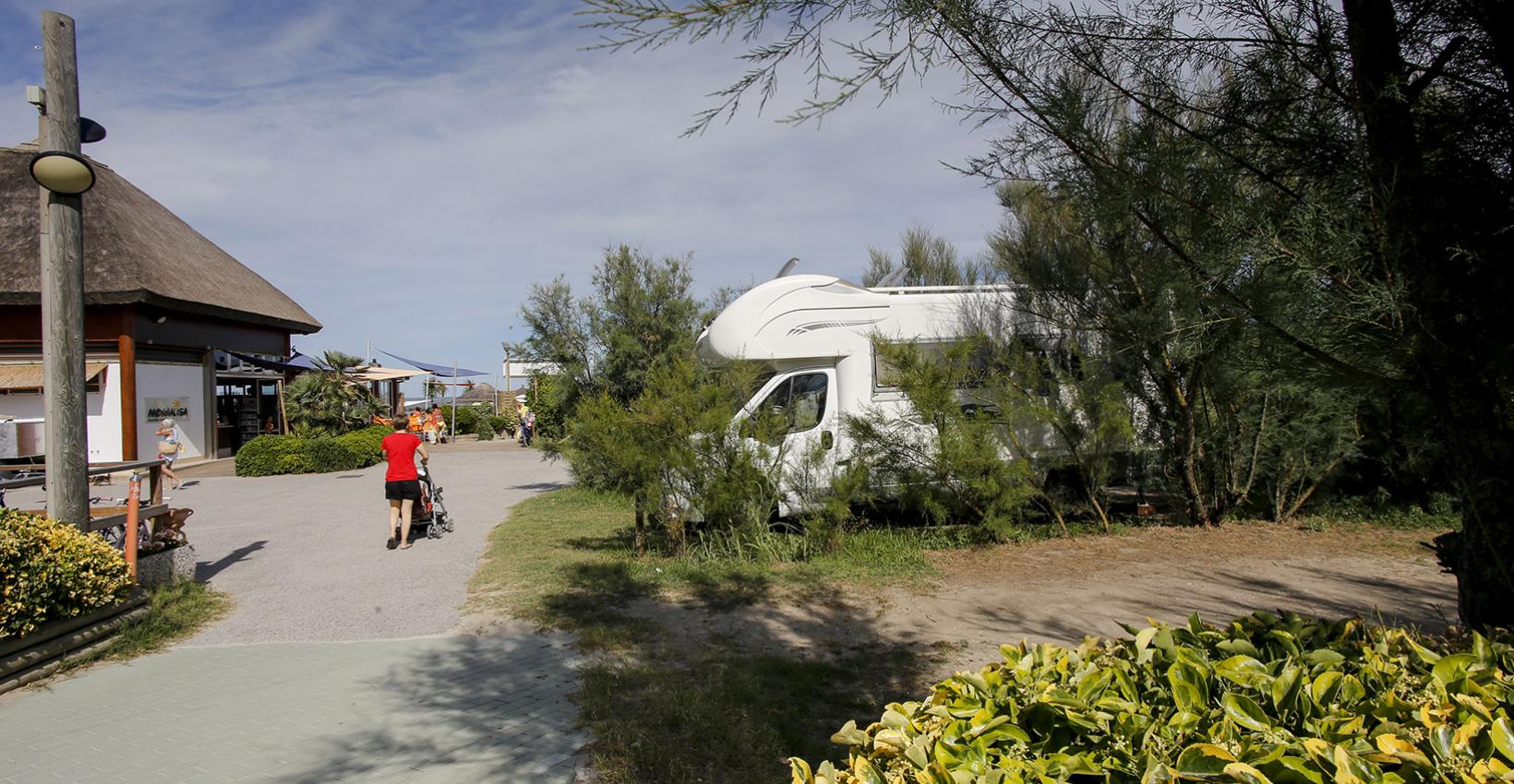 Camper tra alberi, persone passeggiano, atmosfera di relax e vacanza estiva all'aperto.