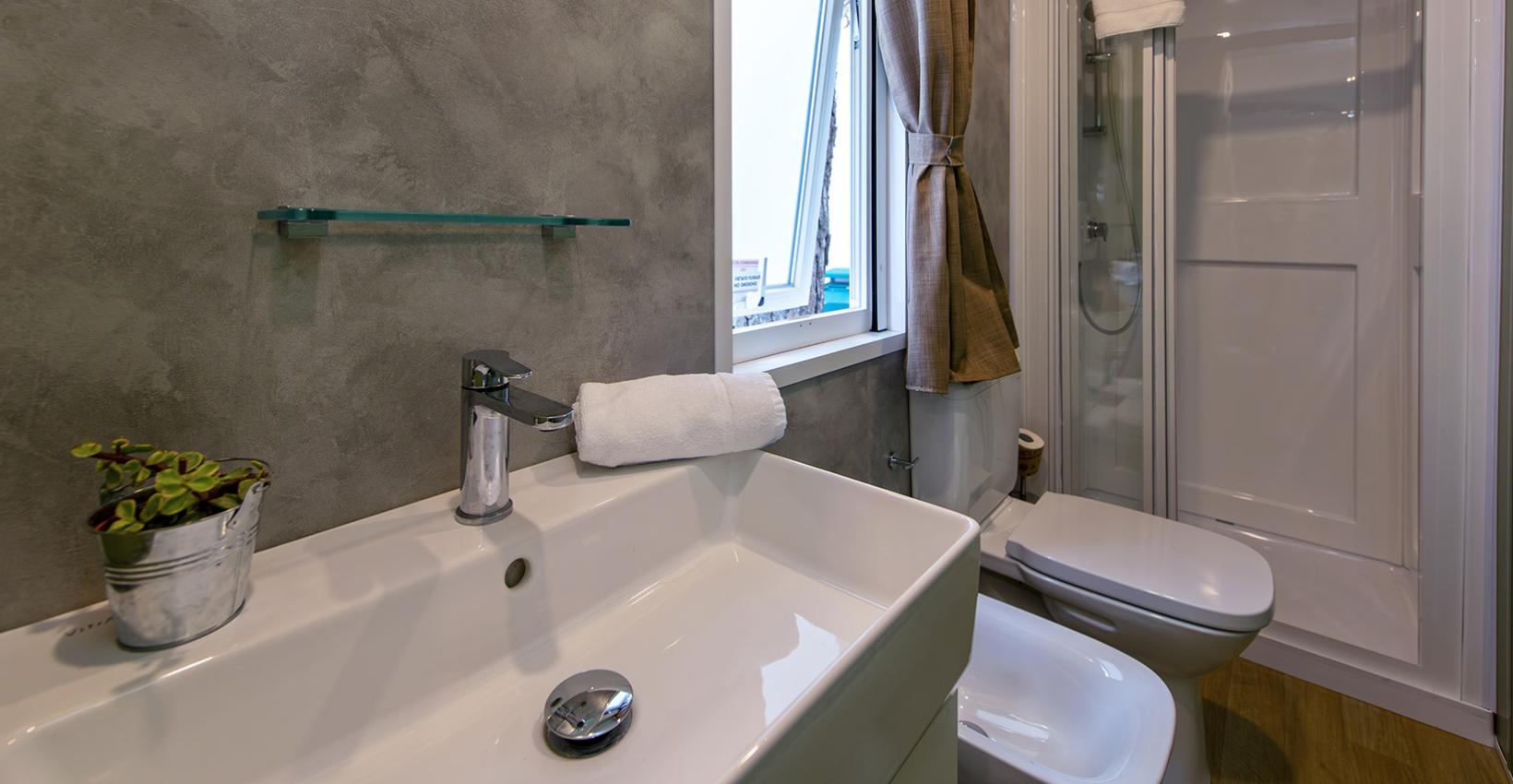 Bagno moderno, minimalista, con doccia, lavabo bianco, pianta decorativa e finestra luminosa.