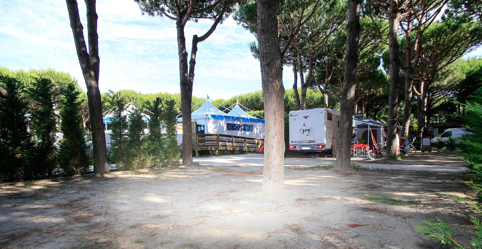 Campeggio ombreggiato, pini alti, camper parcheggiato, atmosfera tranquilla e rilassante.