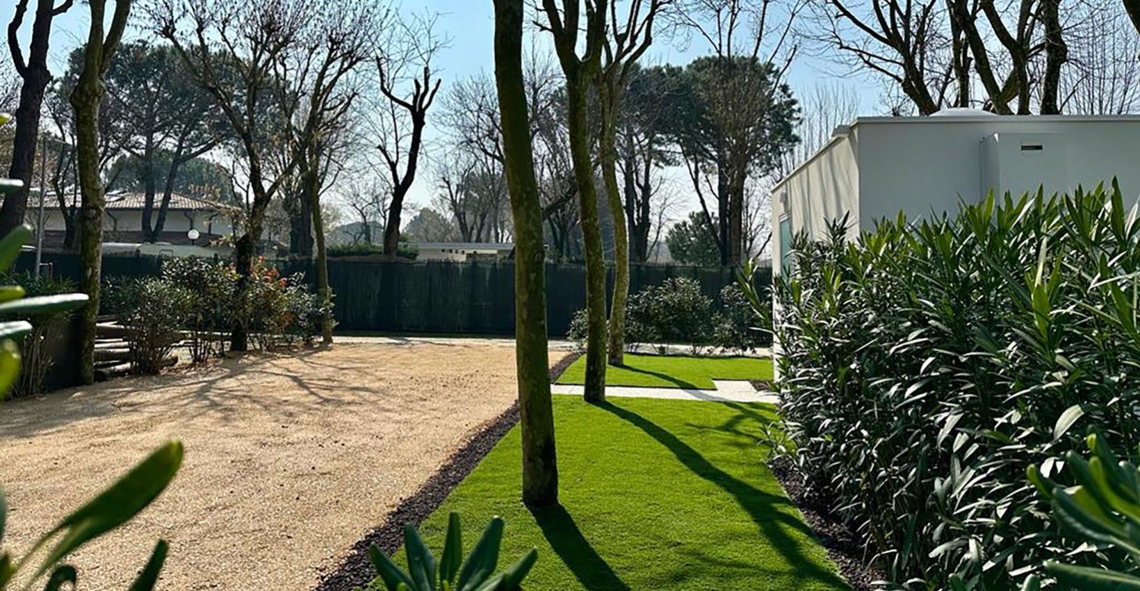 Giardino soleggiato con alberi spogli, prato verde e atmosfera serena e tranquilla.