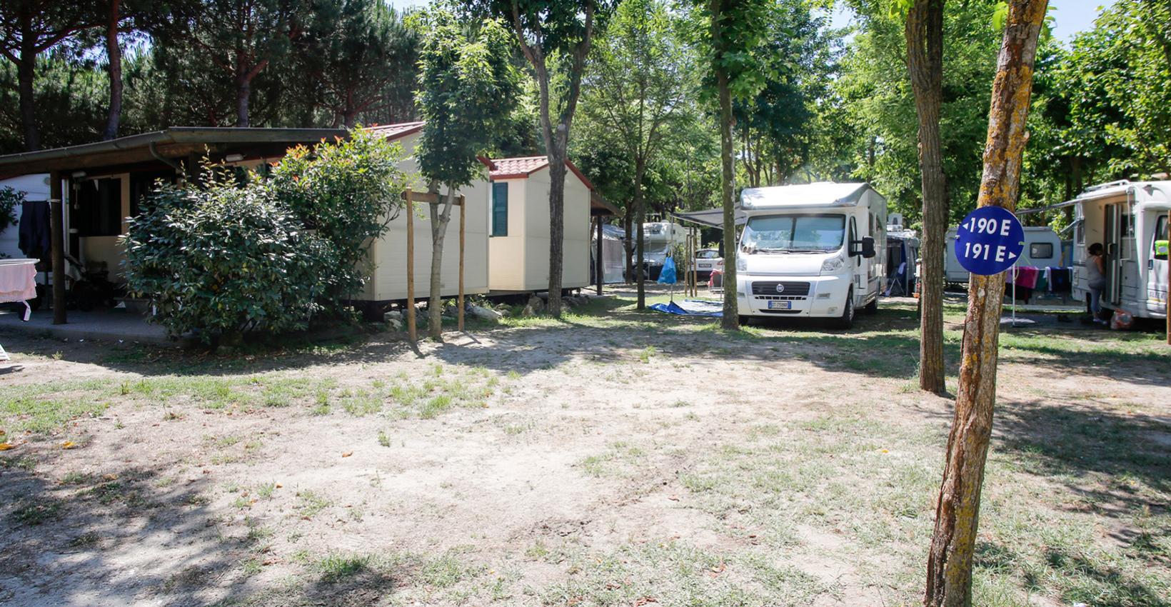 Campeggio soleggiato, roulotte e bungalow tra alberi rigogliosi, atmosfera rilassante e naturale.