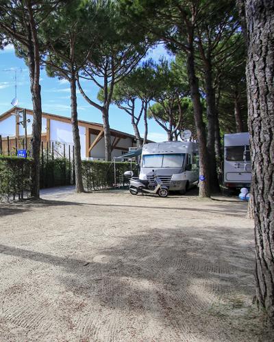Area campeggio soleggiata, alberi alti, camper parcheggiati, atmosfera tranquilla e rilassante.