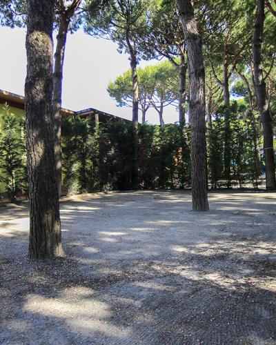 Spazio tranquillo tra pini, ombre danzanti su ghiaia e pareti gialle, natura serena.