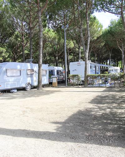 Campeggio tra pini, roulotte, biciclette e natura; atmosfera di relax e avventura all'aperto.