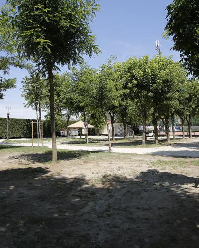 Un parco tranquillo, alberi verdi, luce del sole, ombre rinfrescanti, natura serena.