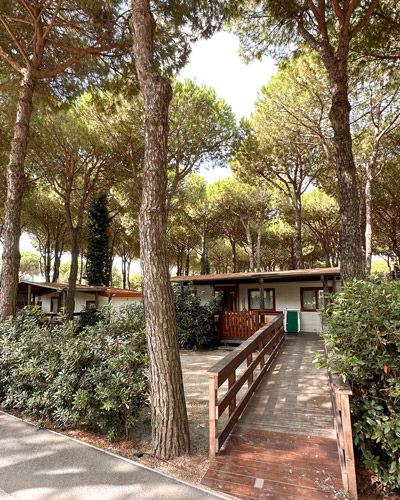 Bungalow immerso in una pineta, atmosfera tranquilla e natura rigogliosa.