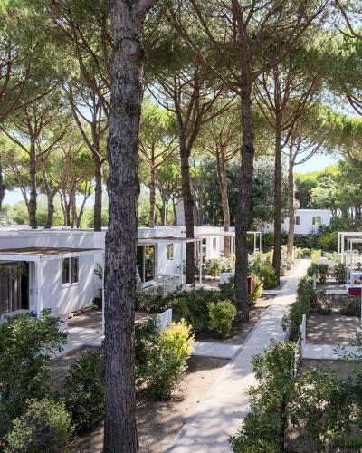 Bungalow bianchi tra pini lussureggianti, atmosfera serena e accogliente immersa nella natura.