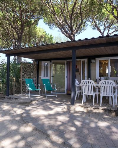 Bungalow immerso nella natura, sedie colorate, atmosfera rilassante sotto pini ombrosi.