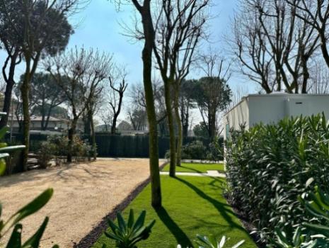 Giardino soleggiato con alberi spogli, erba verde brillante e sentiero di ghiaia.