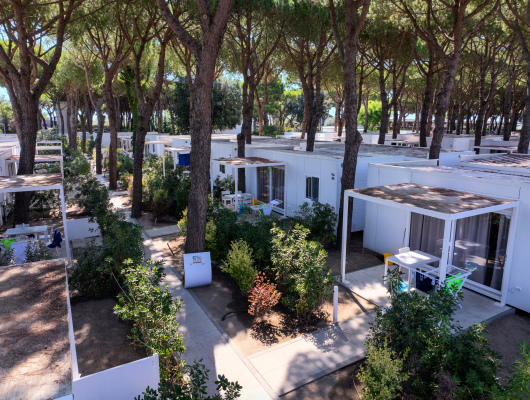 Bungalow moderni immersi in una pineta, atmosfera tranquilla e rilassante, natura e comfort.