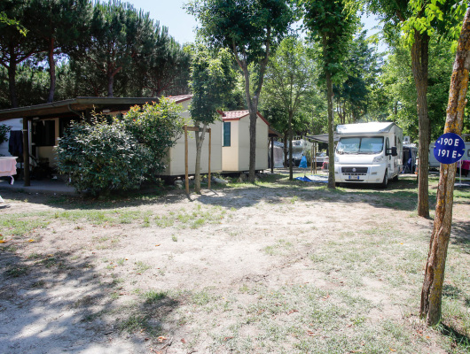 Campeggio soleggiato, roulotte e bungalow tra alberi rigogliosi, atmosfera rilassante e naturale.