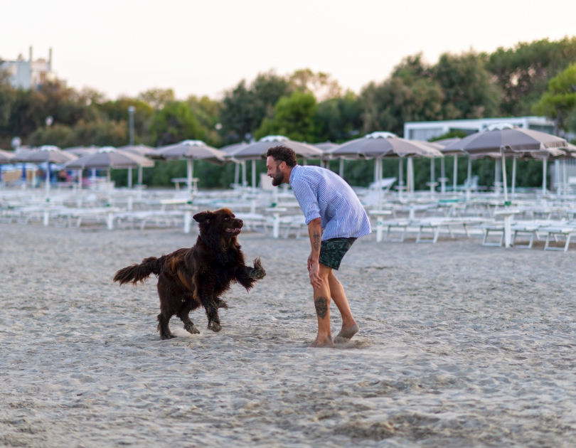 Uomo gioca felice con cane sulla spiaggia deserta al tramonto, atmosfera serena e gioiosa.